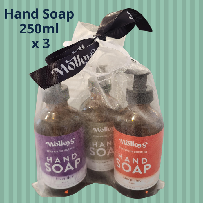 Hand Soap Trio in Bag