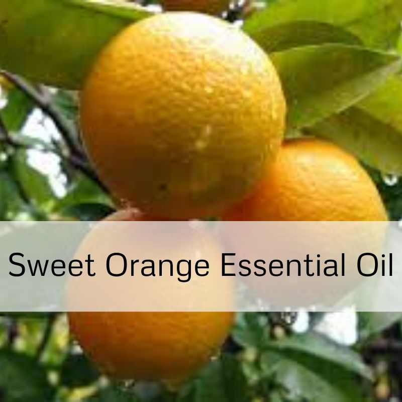 Sweet Orange Essential Oil